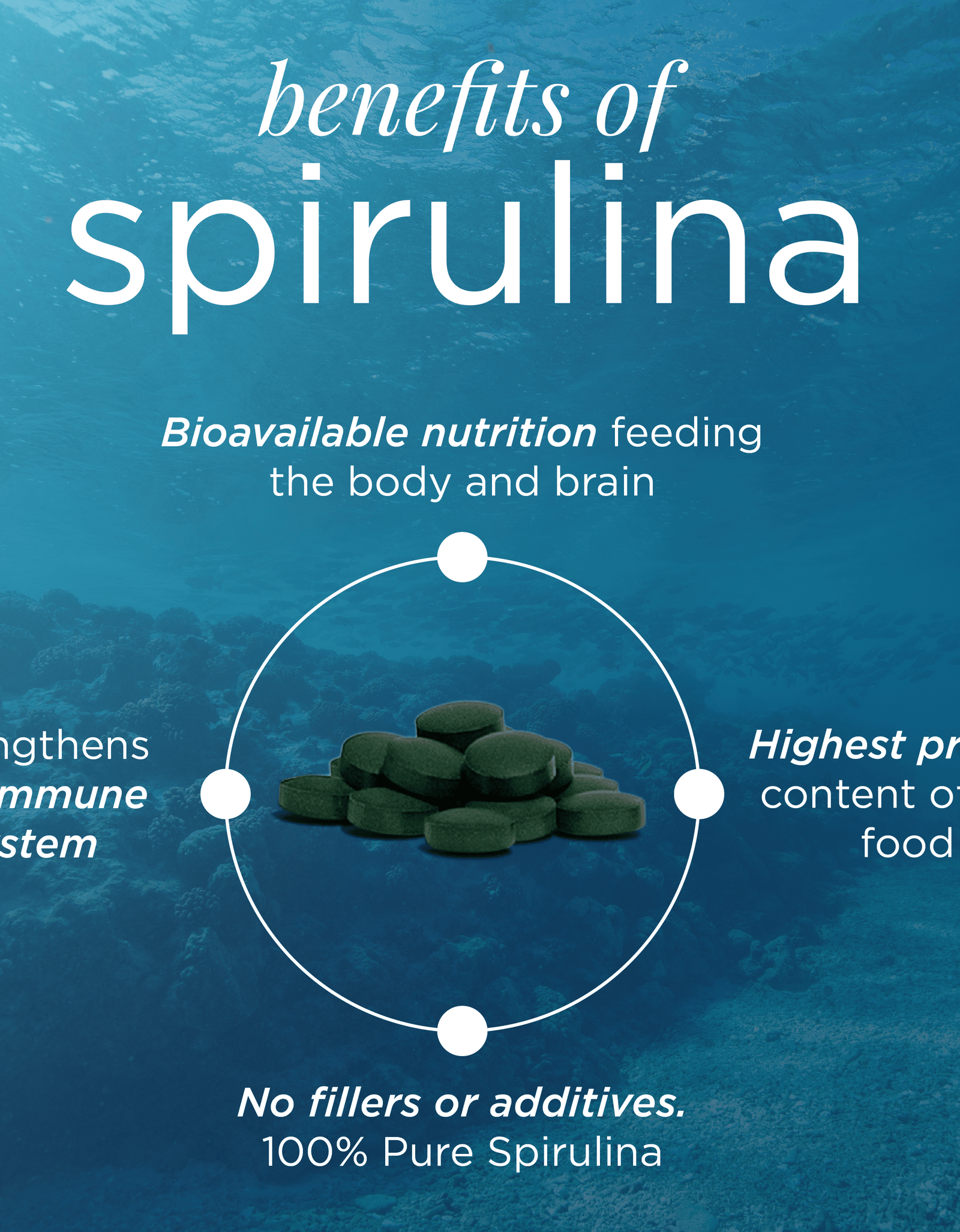 ENERGYbits® Spirulina | Large Bag